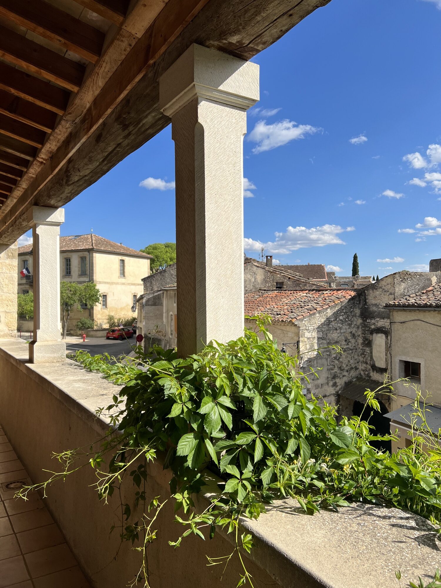 Le Château de Blauzac terrasse